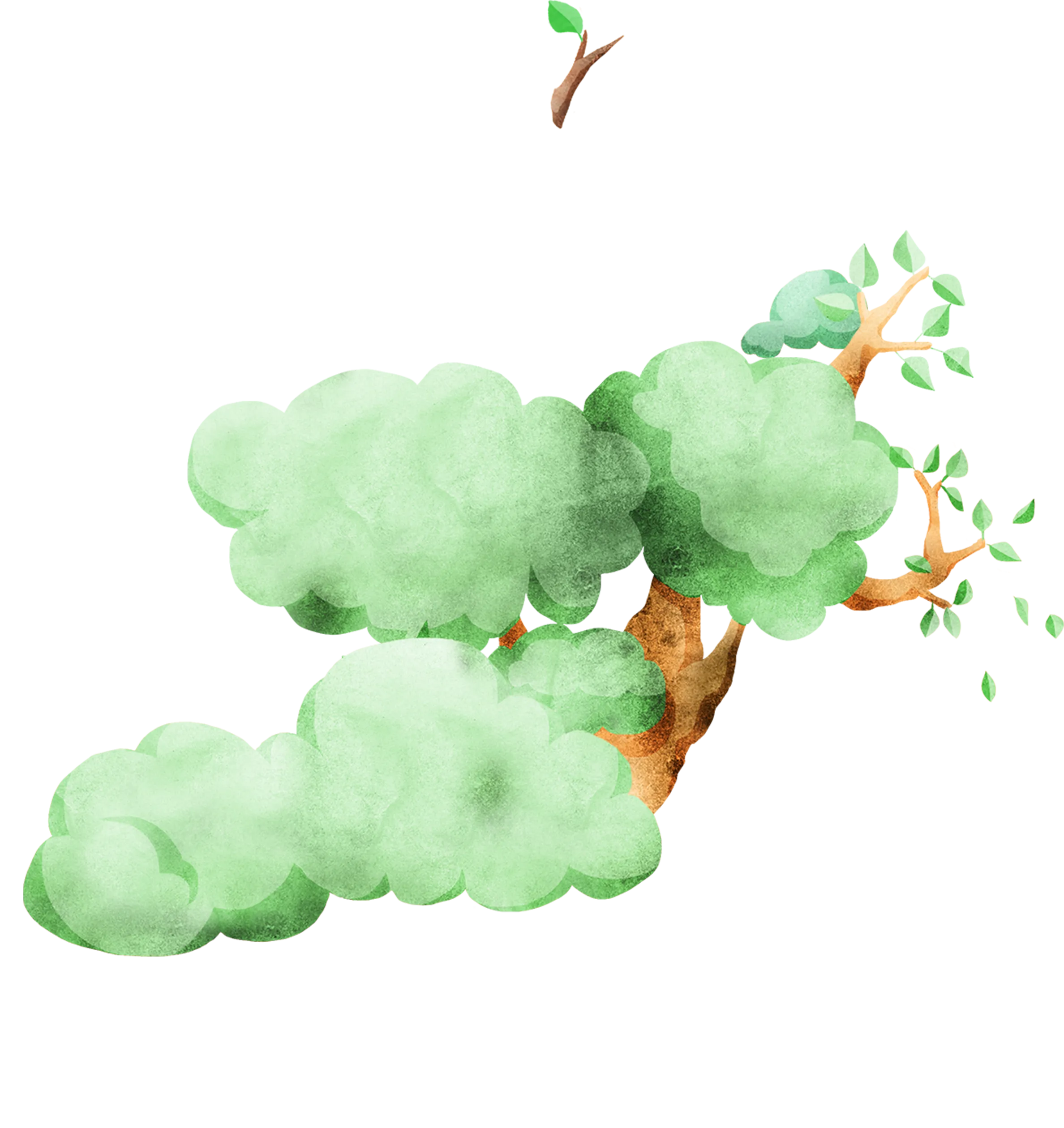 枝葉のイラスト