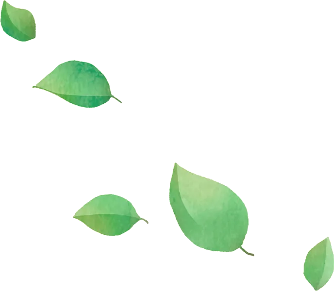 葉っぱ