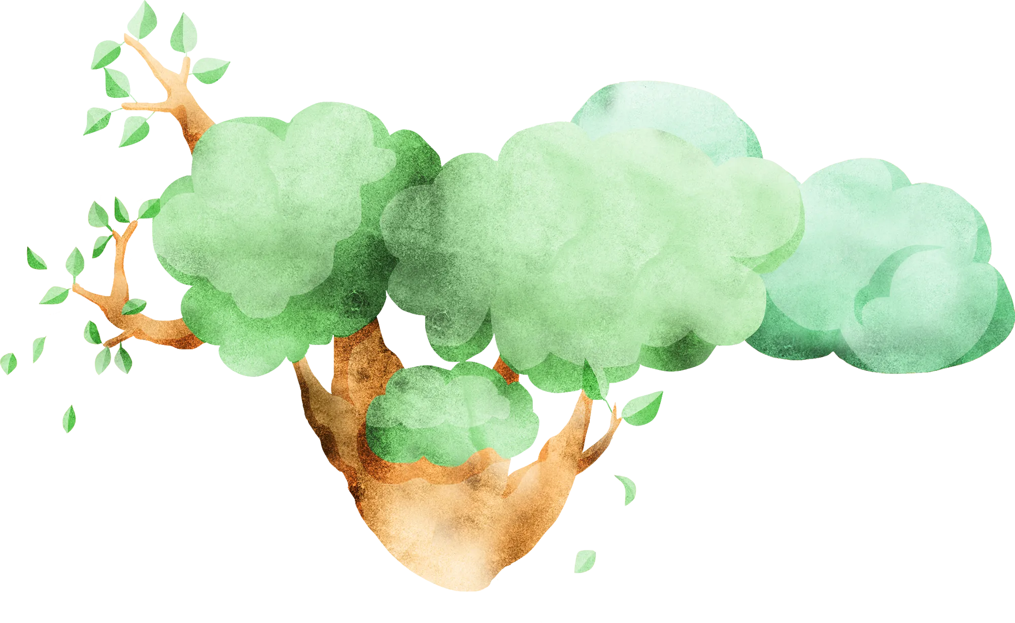 left-branch