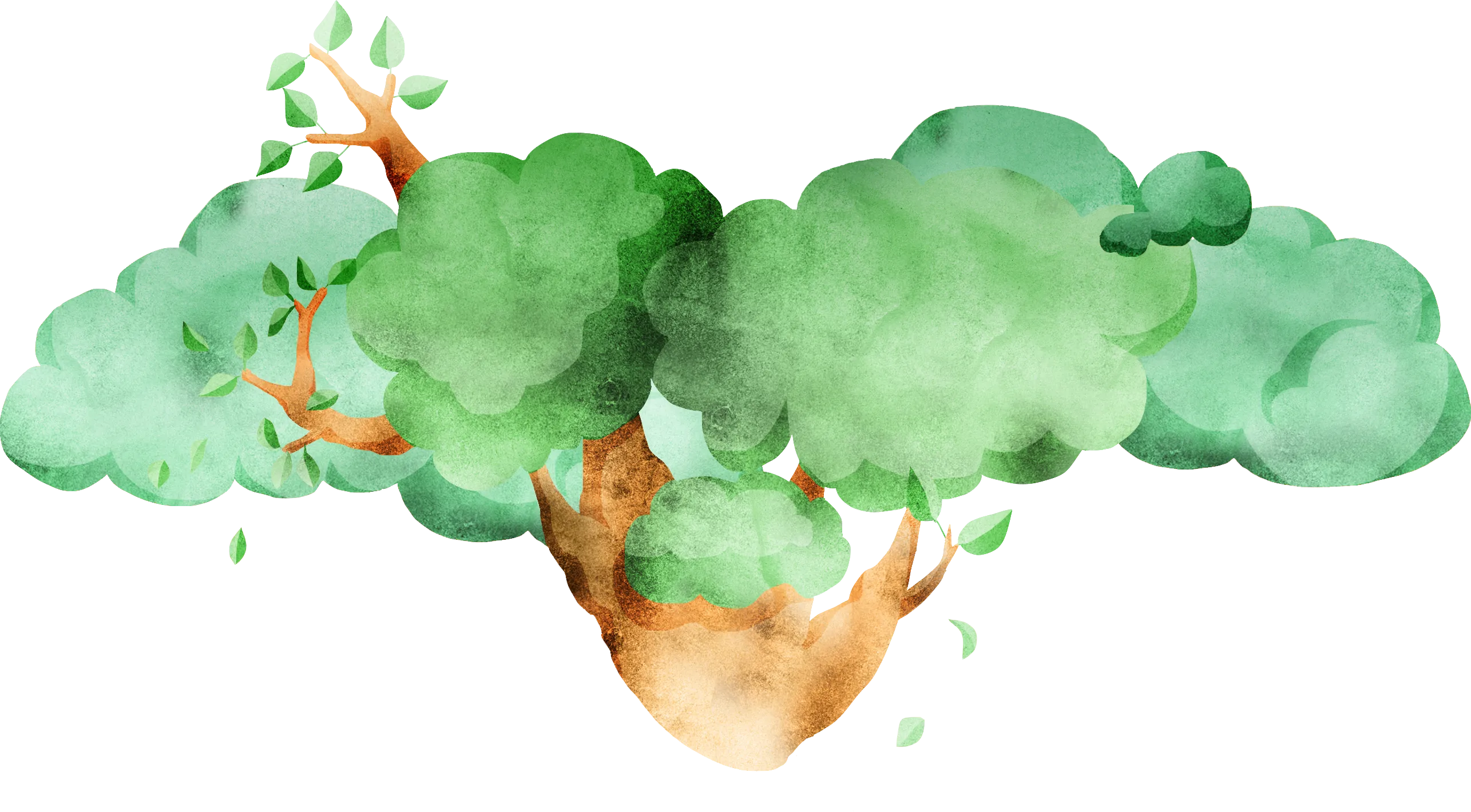 枝葉のイラスト