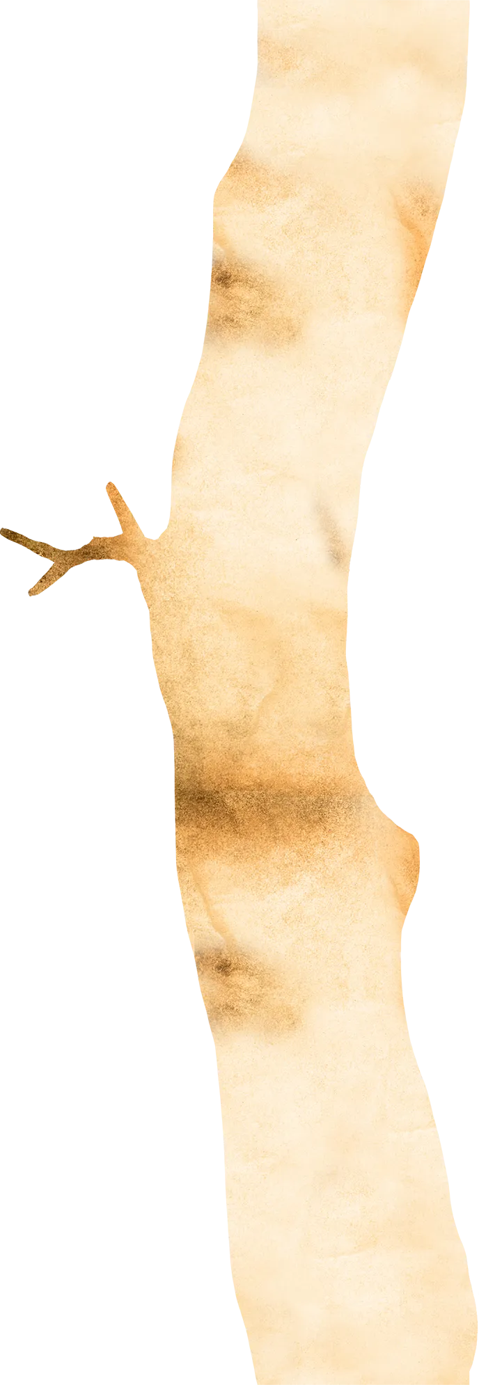 幹のイラスト