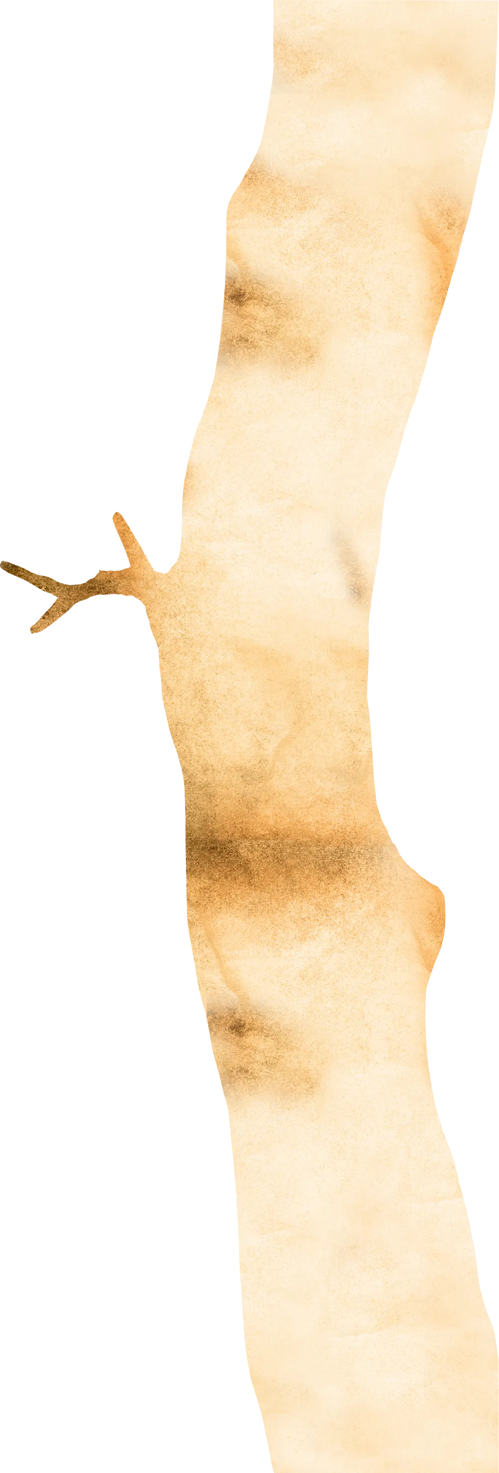 幹のイラスト