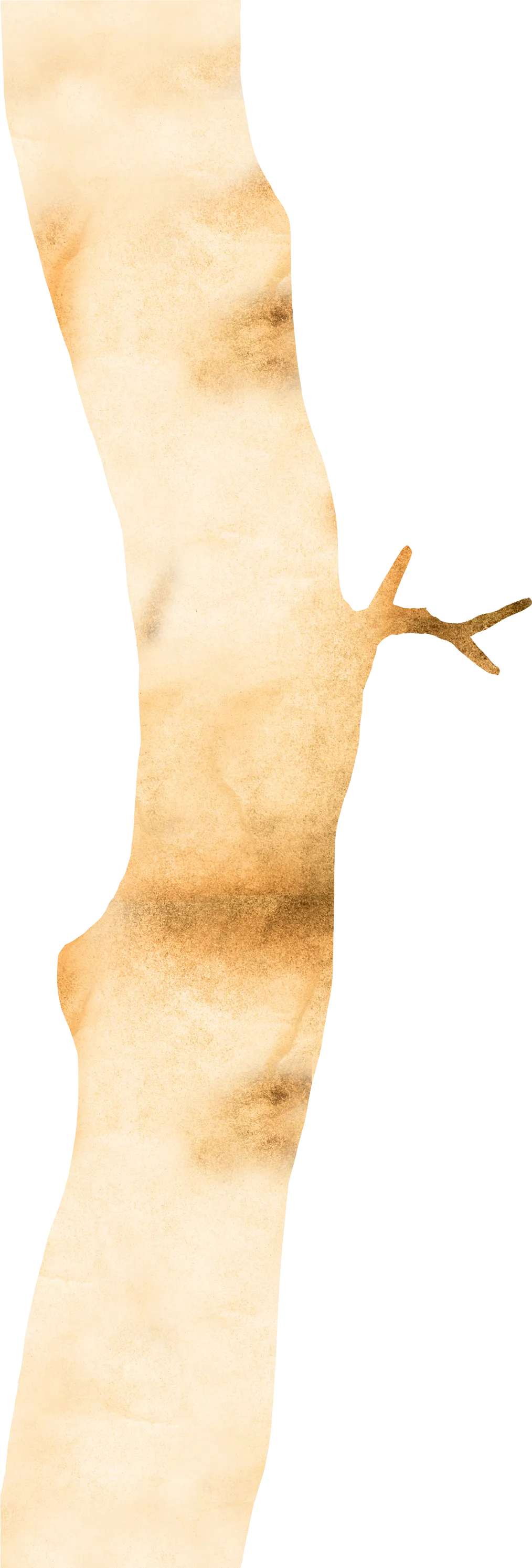 幹のイラスト