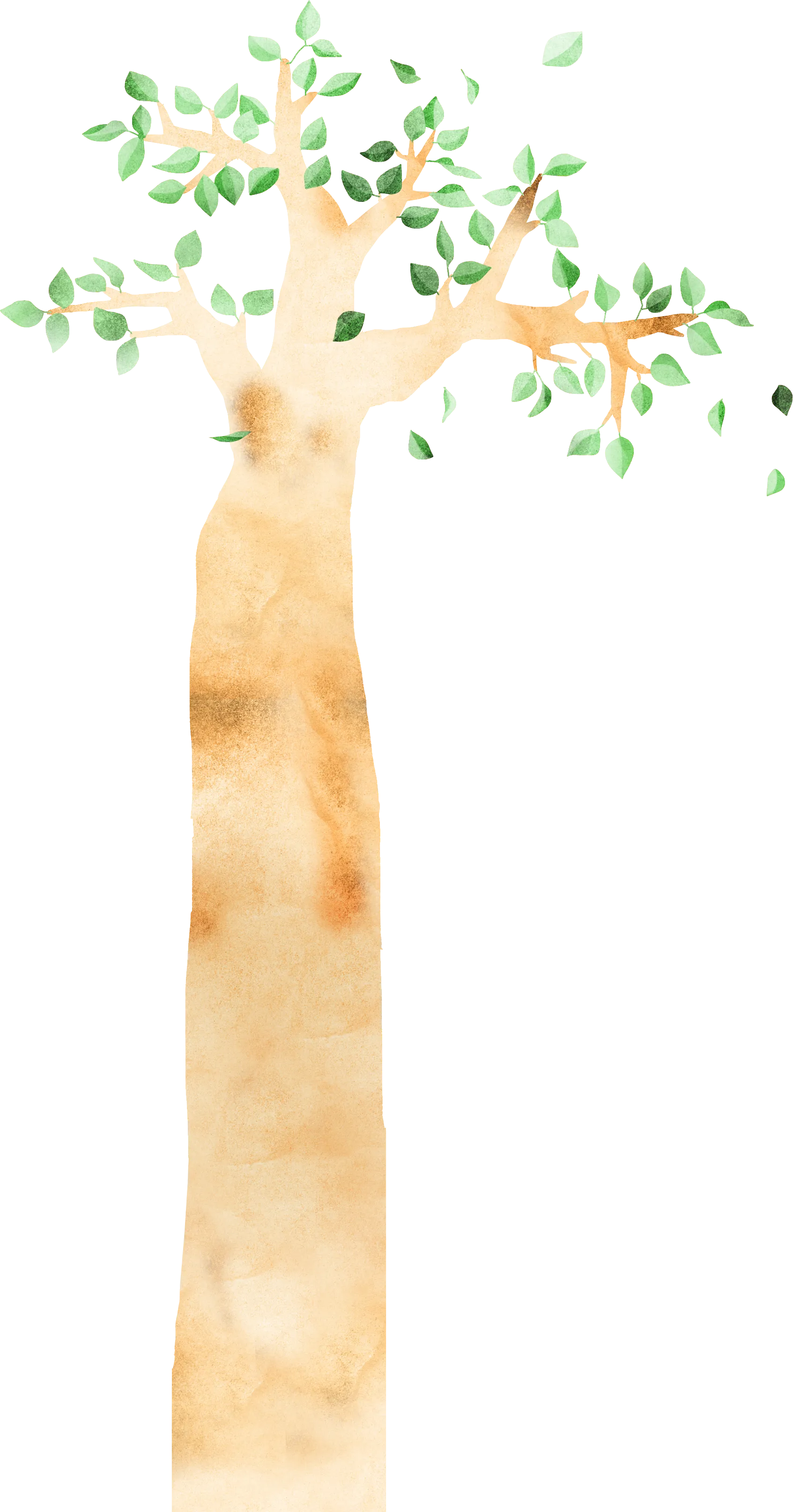 幹のイラスト